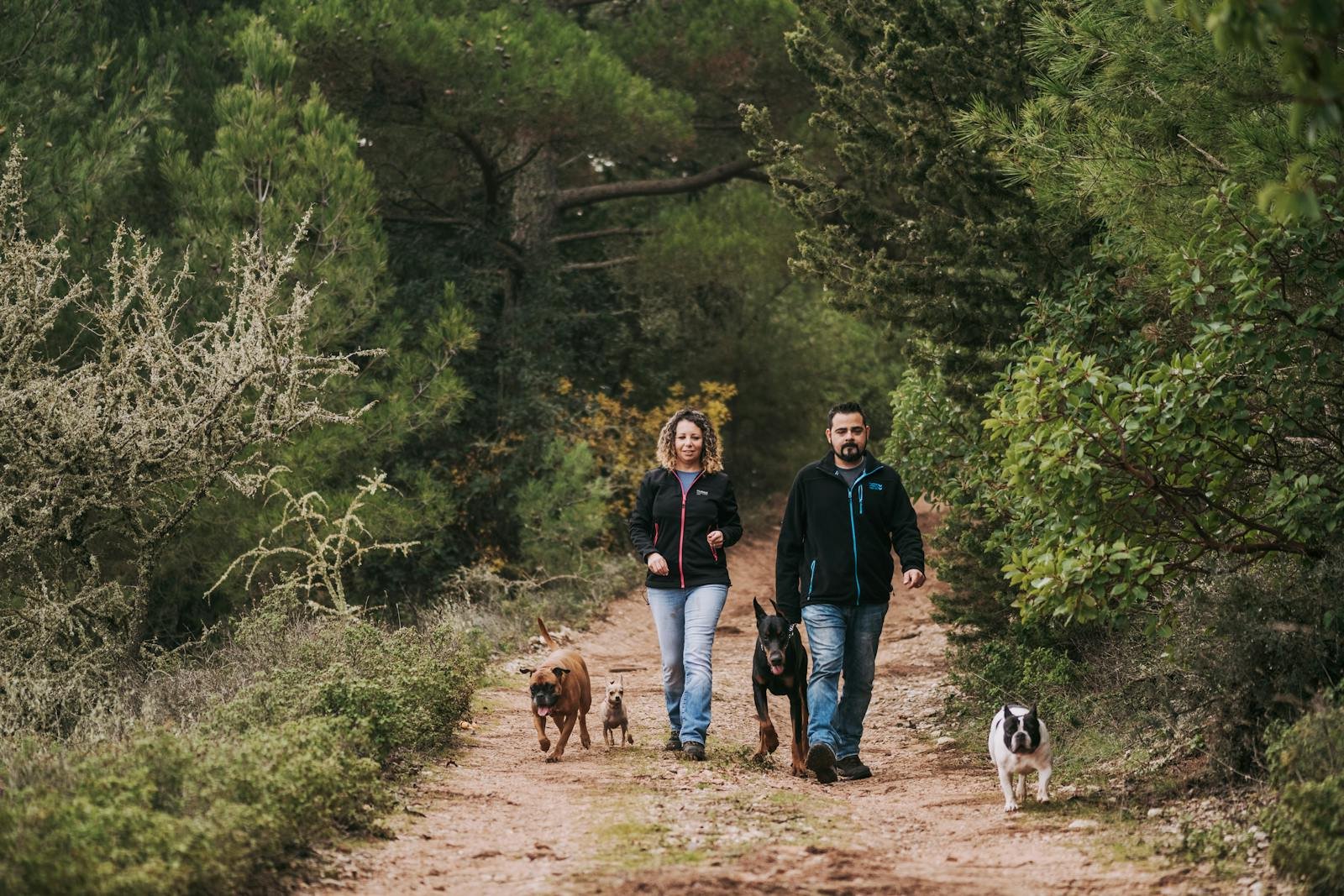 Man and Woman Walking with Dogs in a Forest